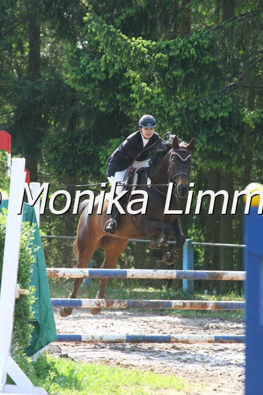 104M7790_Spring A.JPG